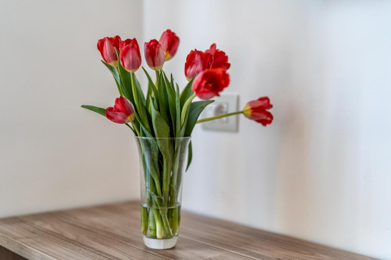 Casa Don Mimi Apartment Amalfi Ngoại thất bức ảnh
